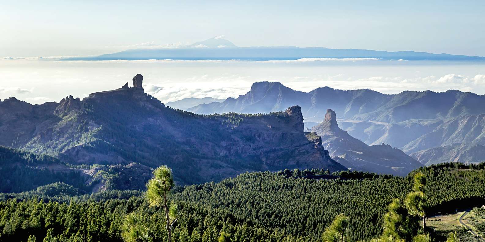 Widok z Pico de las Nieves — panorama wyspy