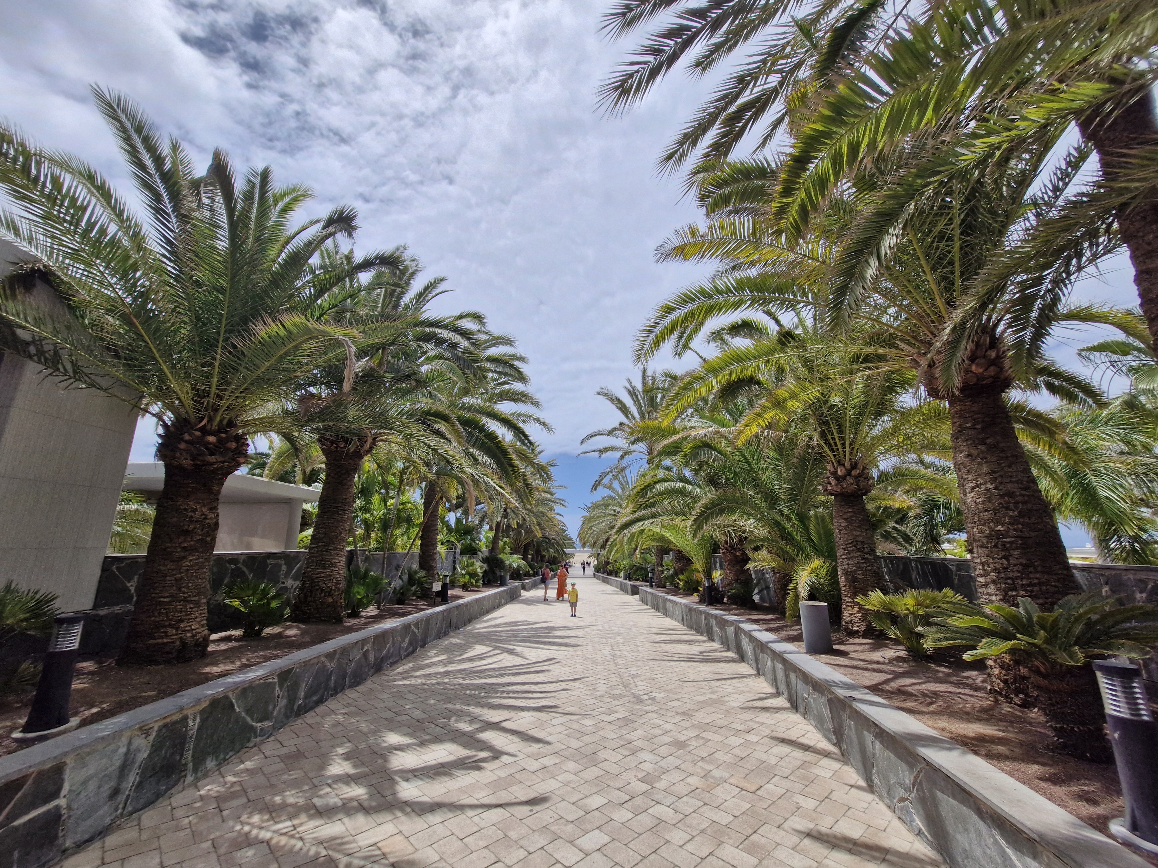 Maspalomas — palmowa promenada